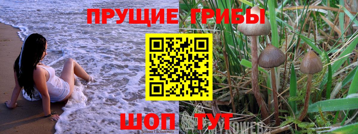 Псилоцибиновые грибы прущие грибы Морозовск